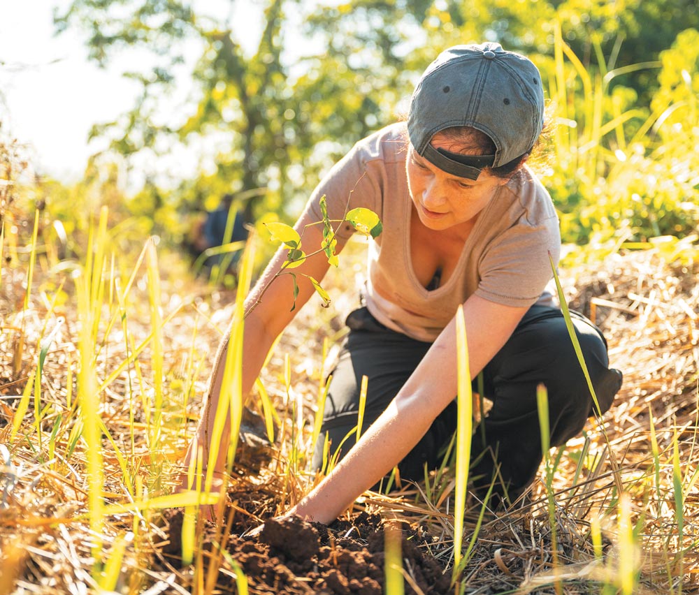 A woman in a grey cap and t-shirt kneels in a sunlit field, carefully planting a small green seedling into the dark soil.