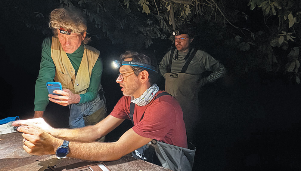 Three researchers wearing headlamps work at a table at night. One examines a small object, another looks at a smartphone, and a third stands in the background in waders.
