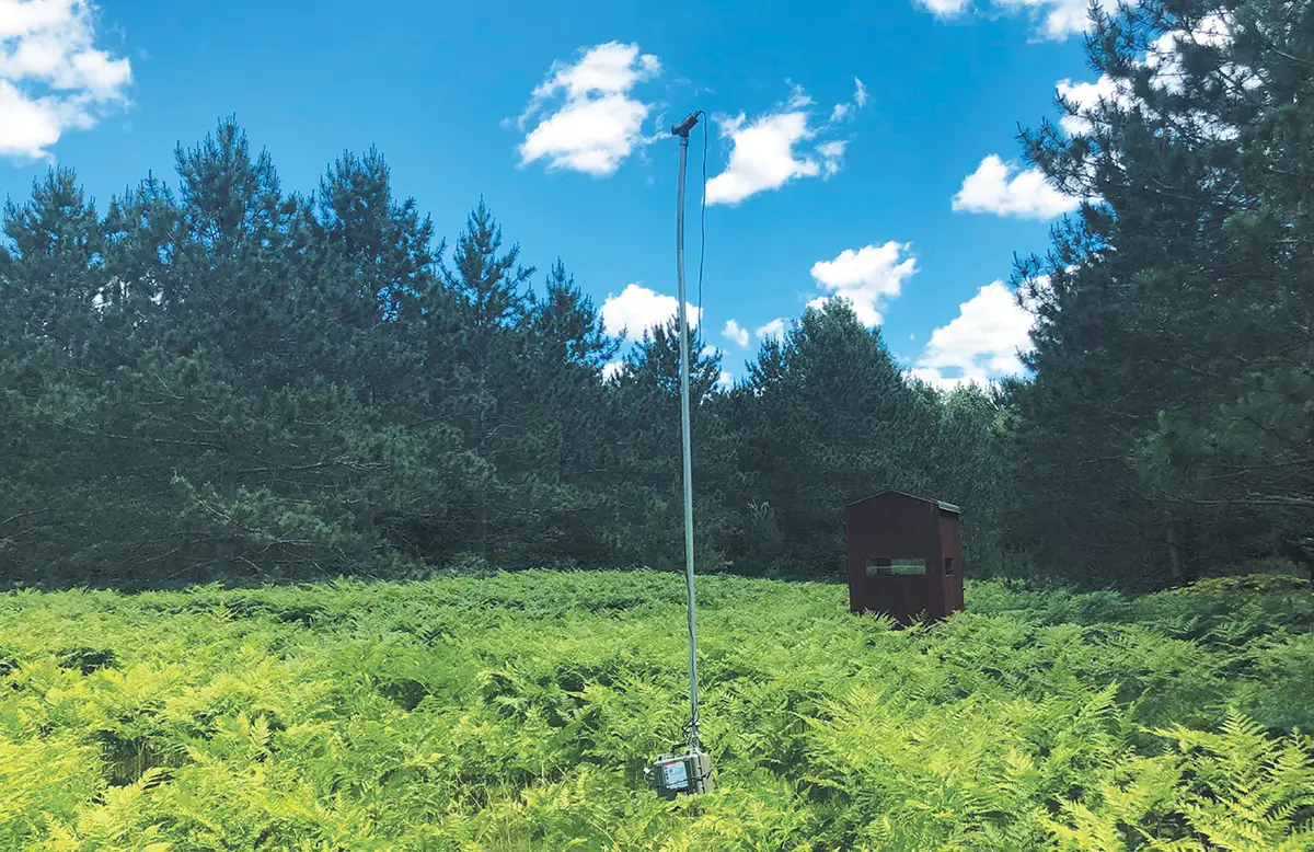 A tall metal acoustic monitoring pole stands in a lush field of green ferns. In the background, a small dark shed is visible at the edge of a dense pine forest under a blue sky.