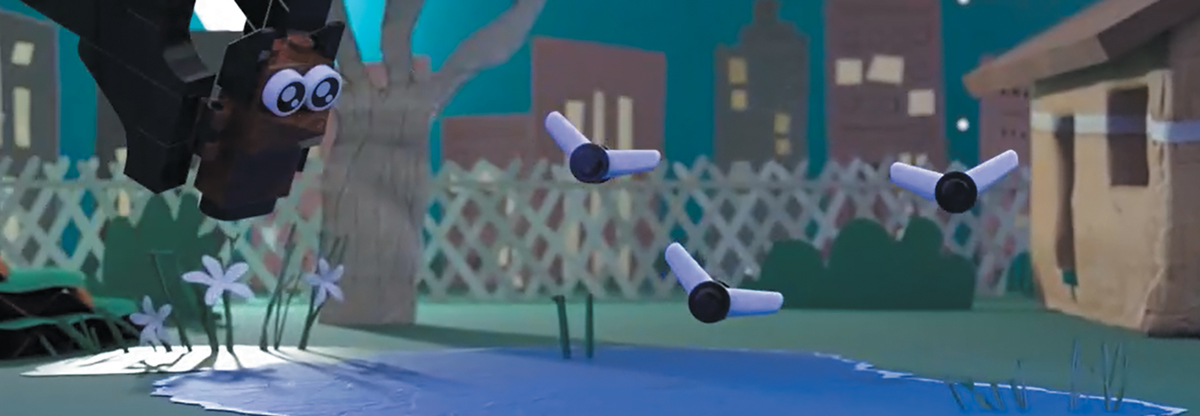 A stylized animation shows a cartoon bat with large eyes flying over a blue pond at night. Three smaller flying insects are depicted against a city skyline.