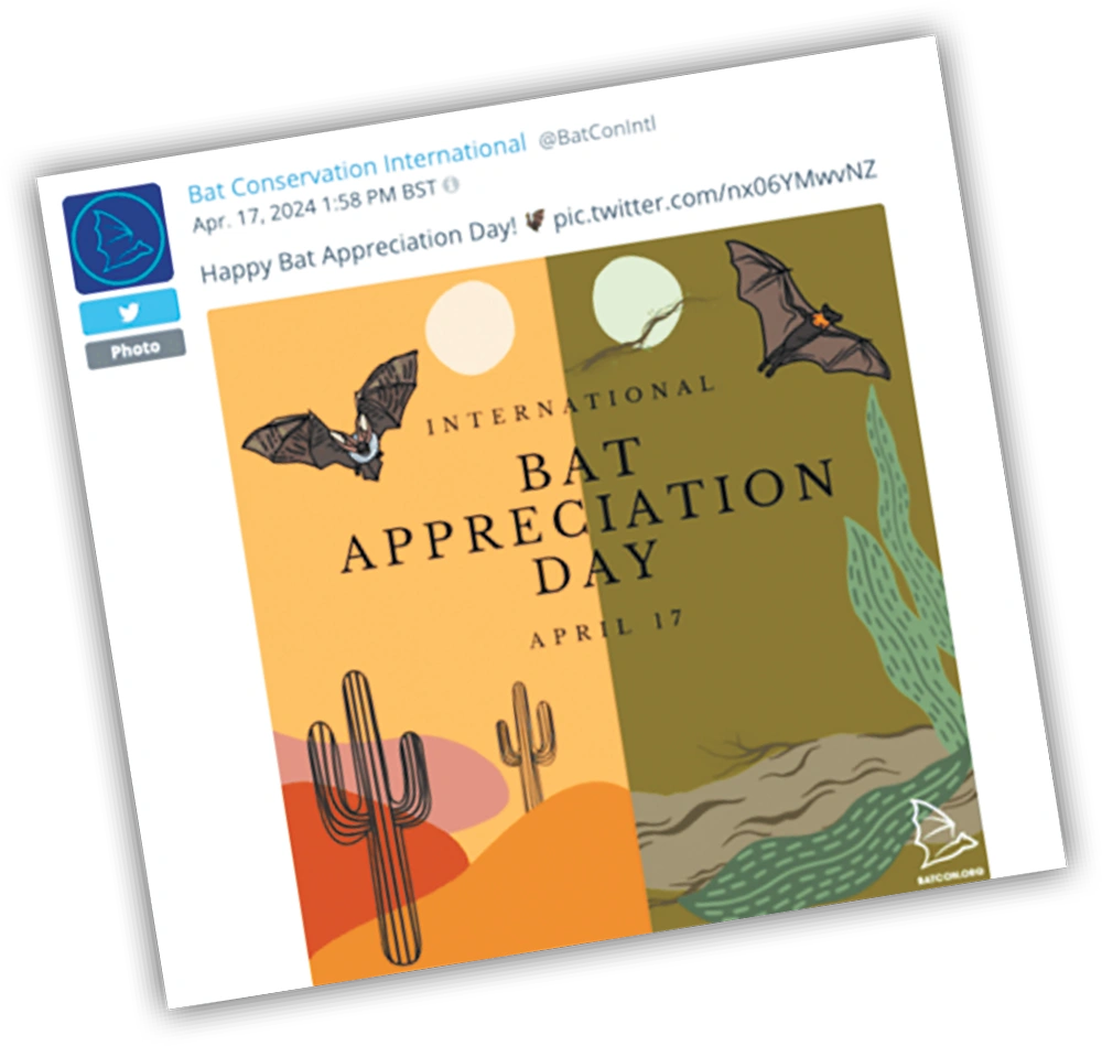 A social media post for International Bat Appreciation Day featuring stylized bat illustrations over a split-color background with cacti.