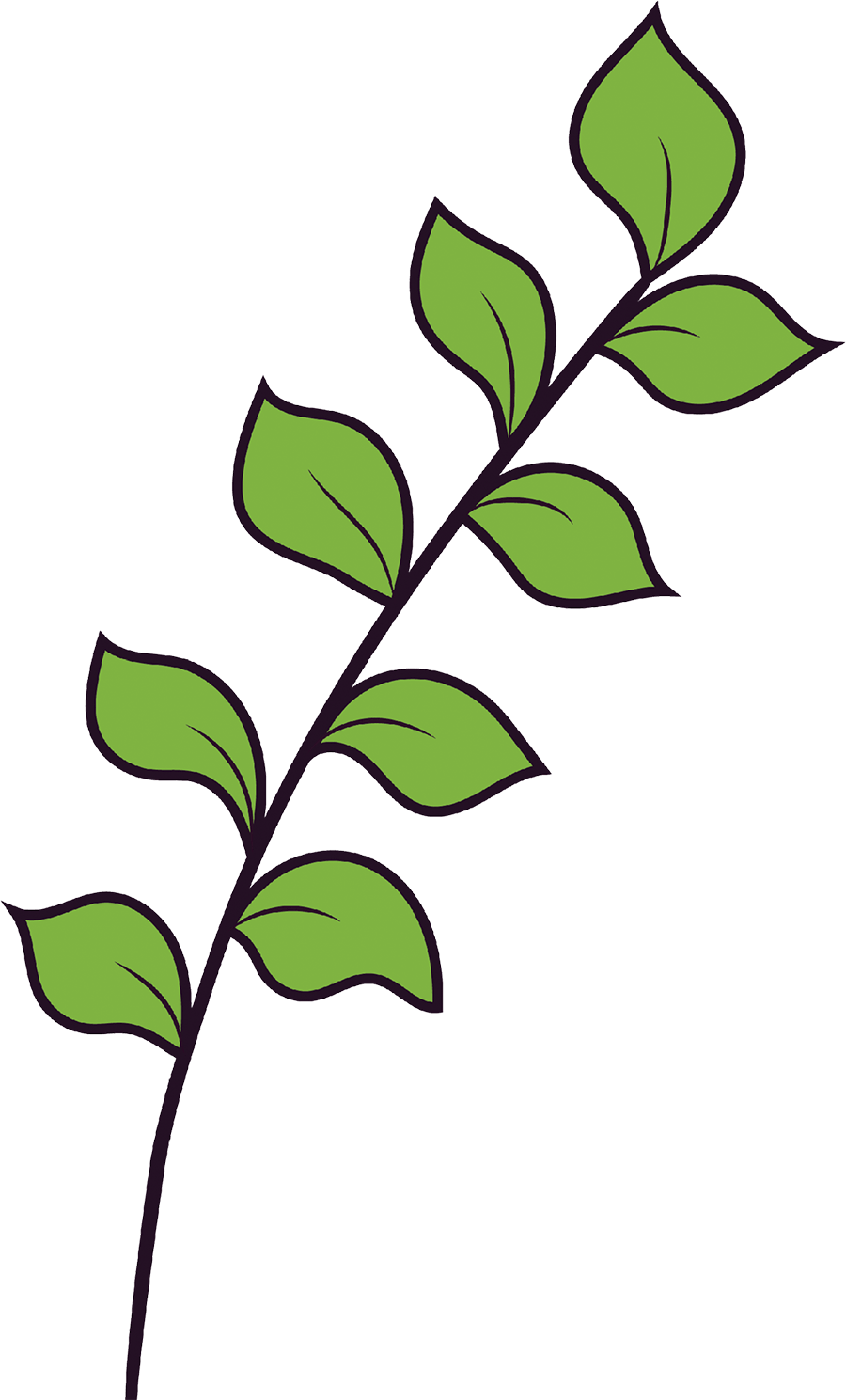 digital illustration of branch with leaves