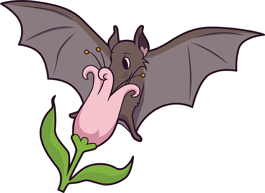 digital illustration of a bat with its face to a pink flower