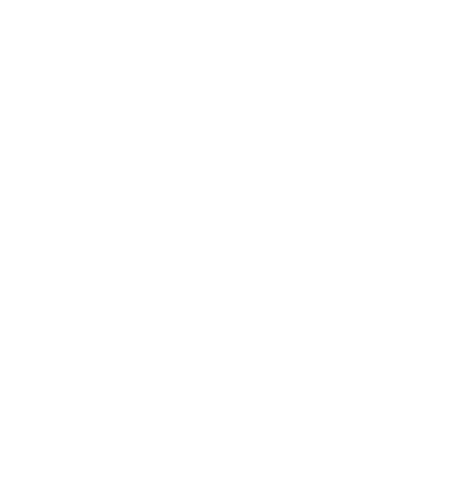 bat silhouette