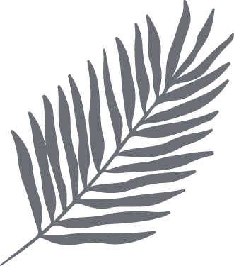 leaf icon