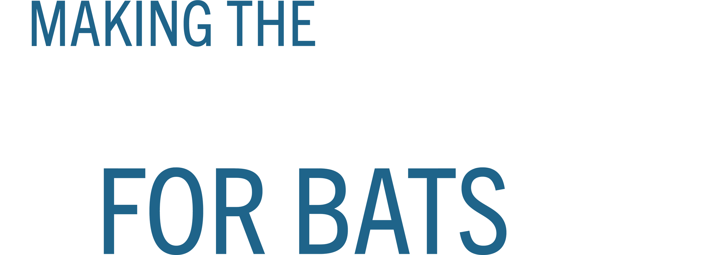 Making the Sky Safer for Bats