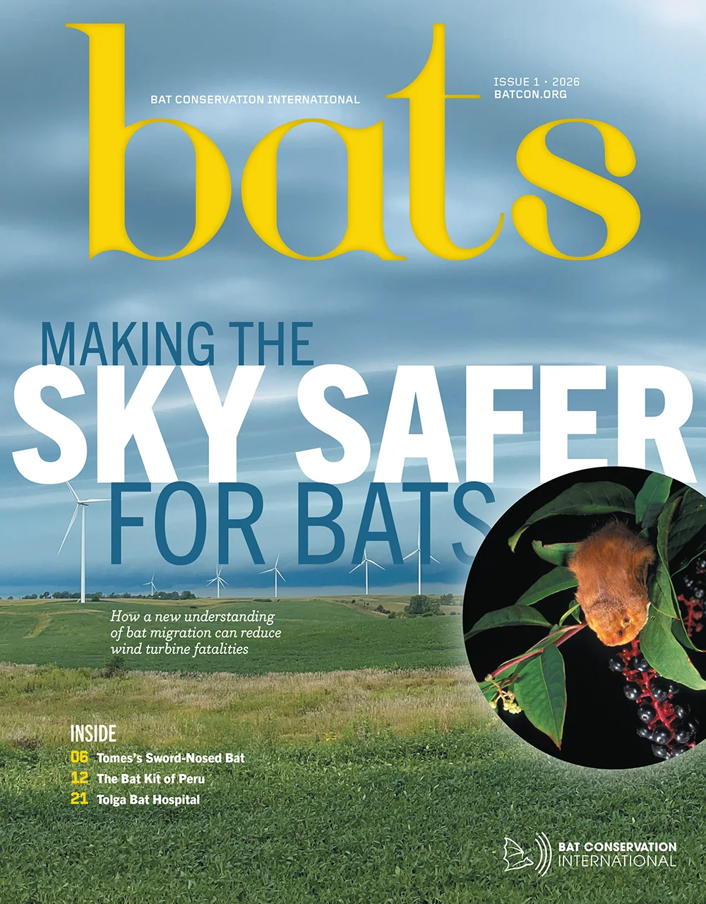 Bats Magazine Volume 45, Issue 1 cover
