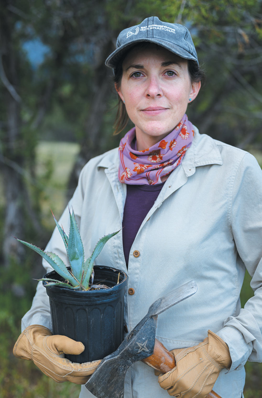 A person holding a potted agave plant and a planting tool, wearing a gray cap and light gray shirt.