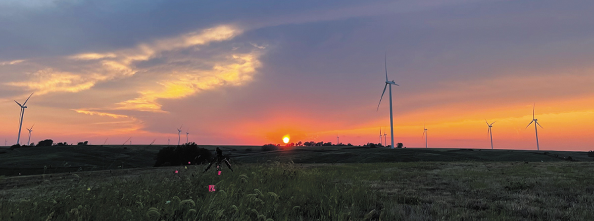 A panoramic view of a grassy field at sunset with several white wind turbines silhouetted against a vibrant orange and purple sky. Small pink flags mark spots in the foreground grass, and a tripod stands in the middle distance.