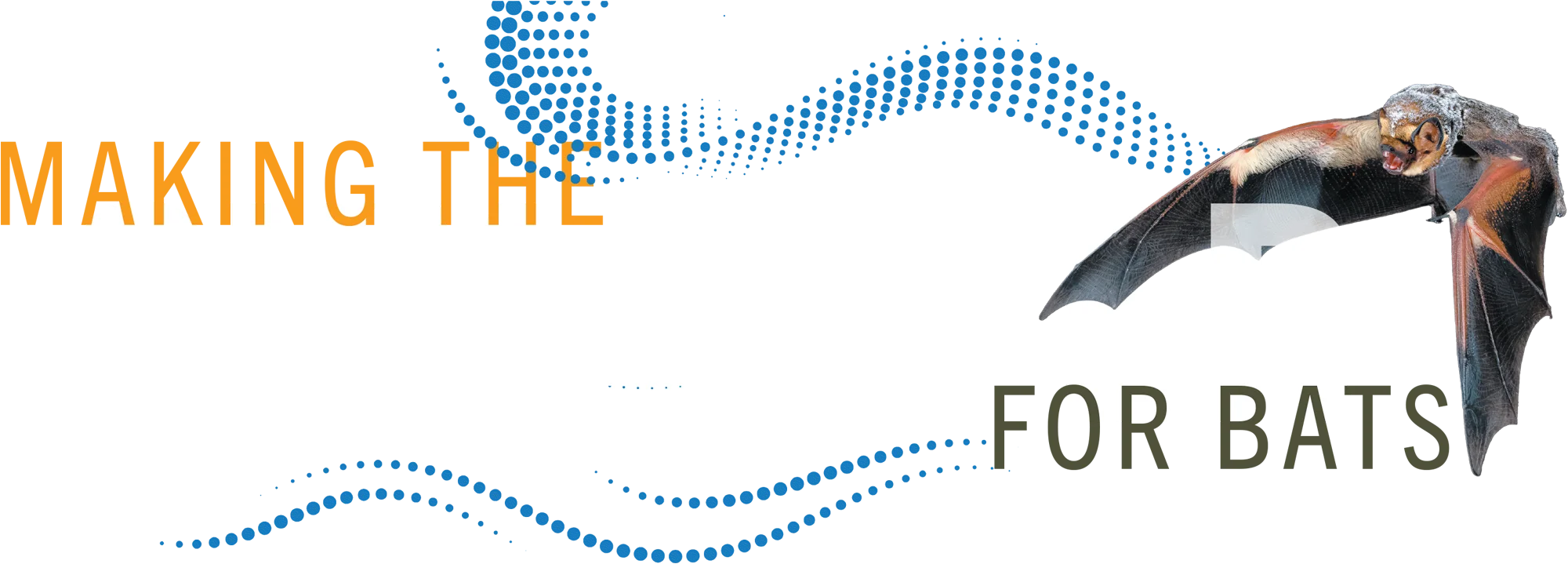 Making the Sky Safer for Bats typography; A hoary bat in flight against a white background with wings extended. It has thick, frosted-looking fur on its head and shoulders, a yellow-orange face, and dark, veined wing membranes.