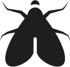 Bug icon