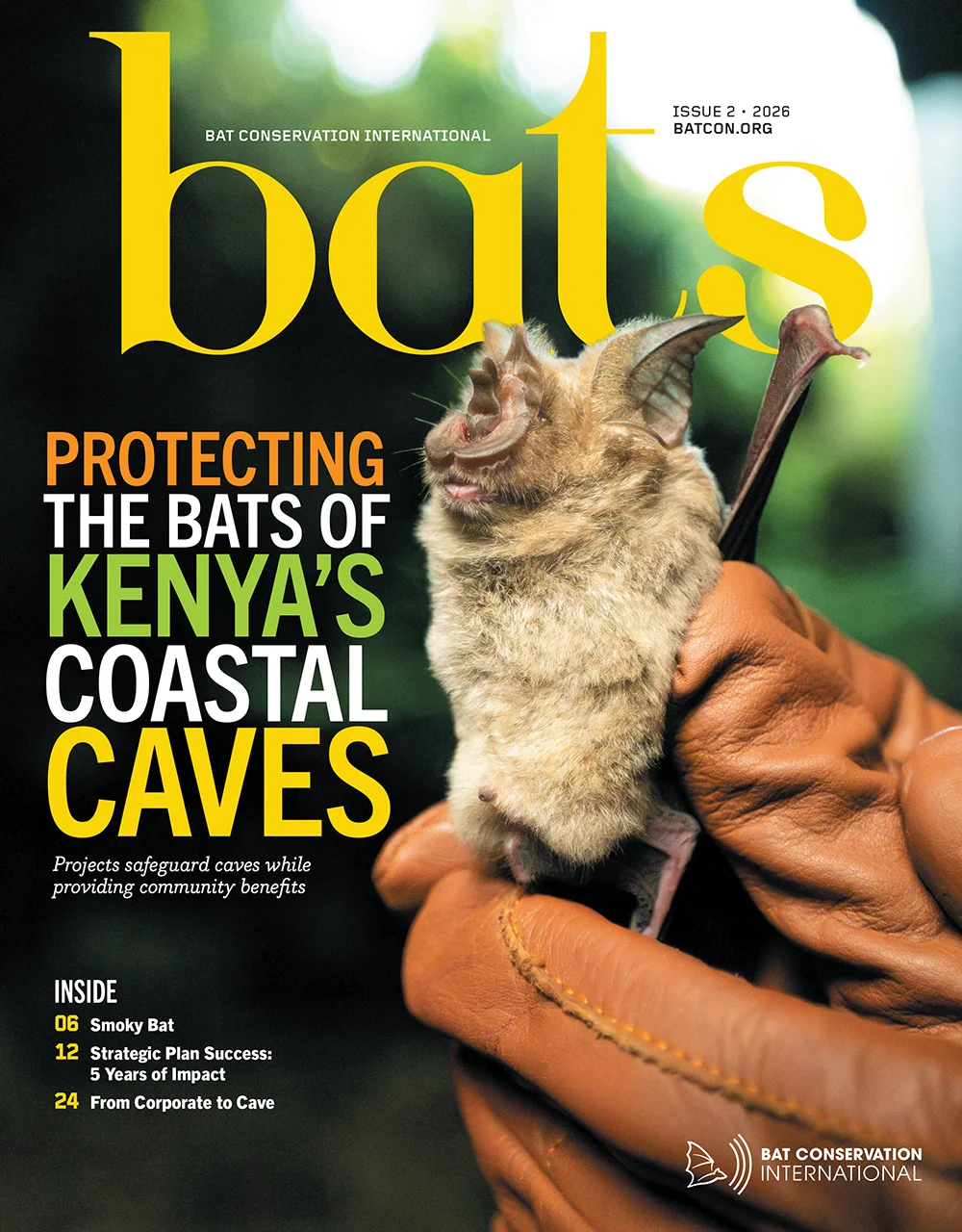Bats Magazine Volume 45, Issue 2 cover