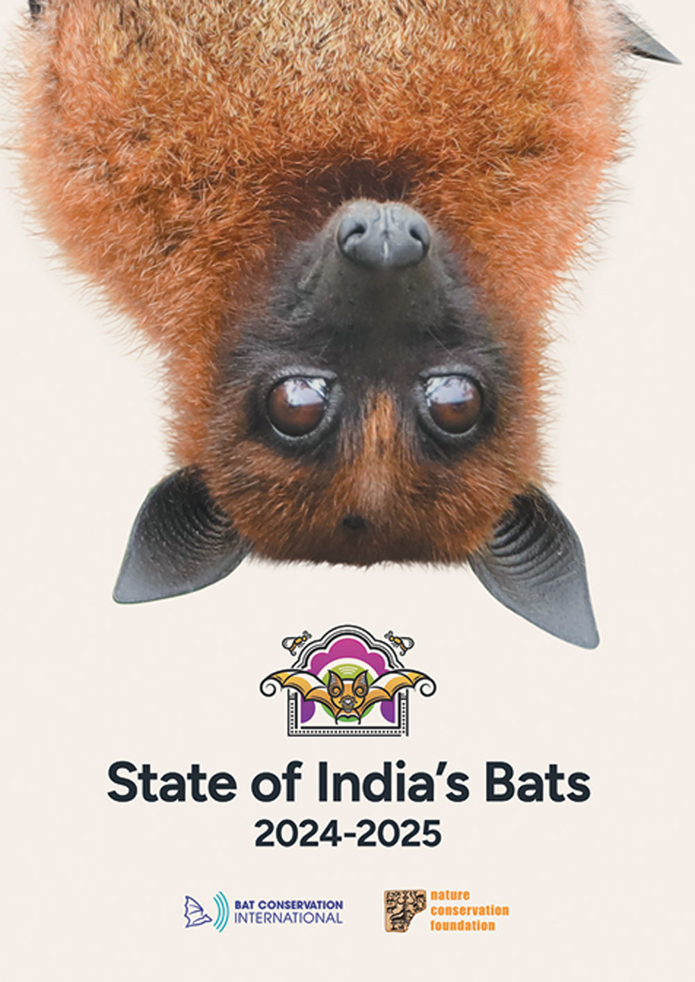 Report cover for State of India’s Bats 2024-2025 featuring a close-up of an orange and black flying fox bat.