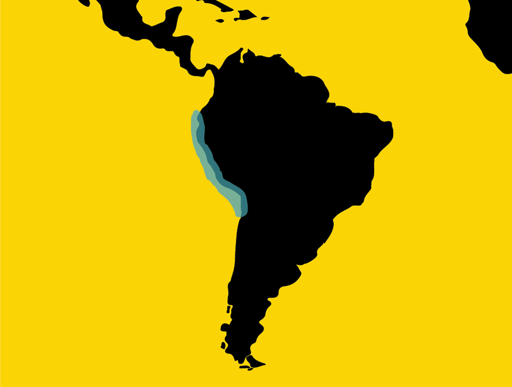 A minimalist map of South America highlighting a light-blue habitat range along the western coast.