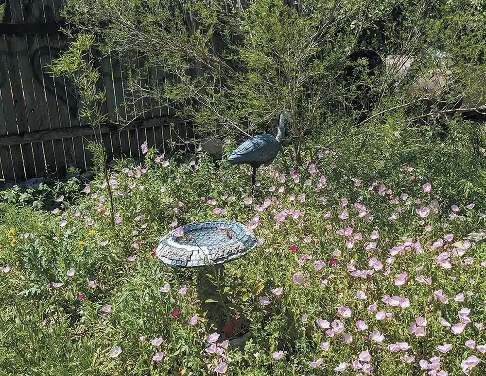 A stone birdbath stands surrounded by a patch of light pink wildflowers. In the background, a blue heron statue is nestled among green bushes in front of a weathered wooden fence.