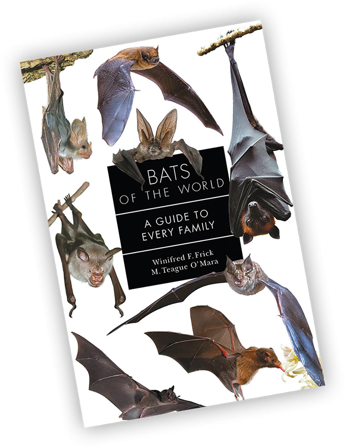 Book cover for "Bats of the World: A Guide to Every Family" by Winifred F. Frick and M. Teague O'Mara, featuring illustrations of various bat species around a central black title block.