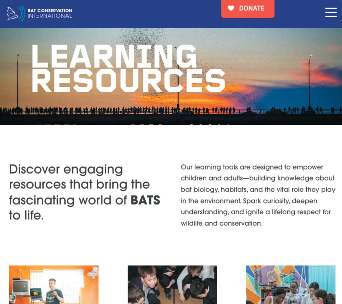 Screenshot of the Bat Conservation International "Learning Resources" webpage. The main banner displays a crowd on a bridge watching a swarm of bats at sunset, with introductory text and educational thumbnails below.