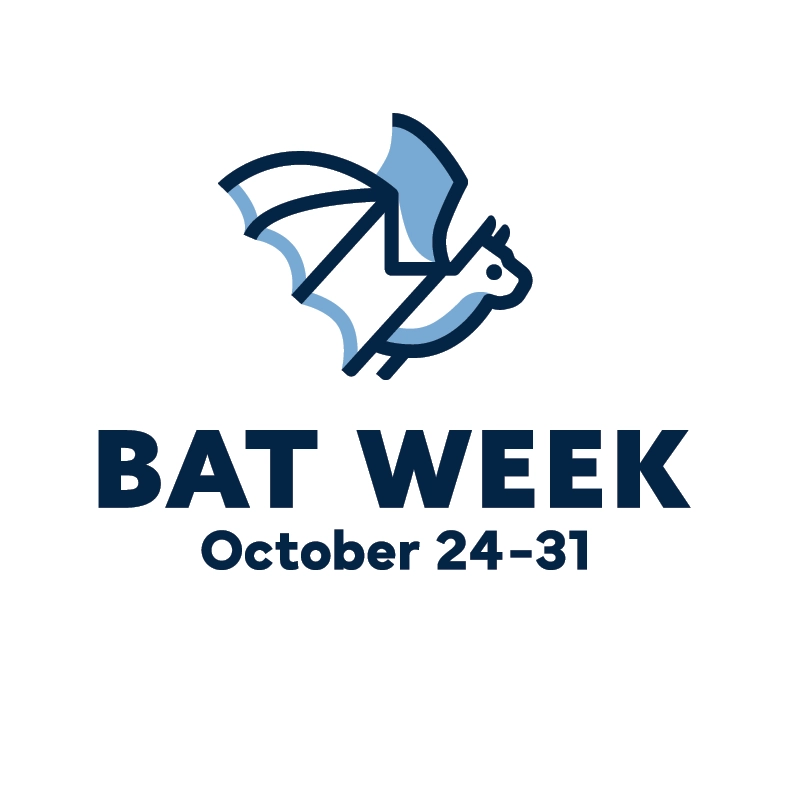 Bat Week October 24-31