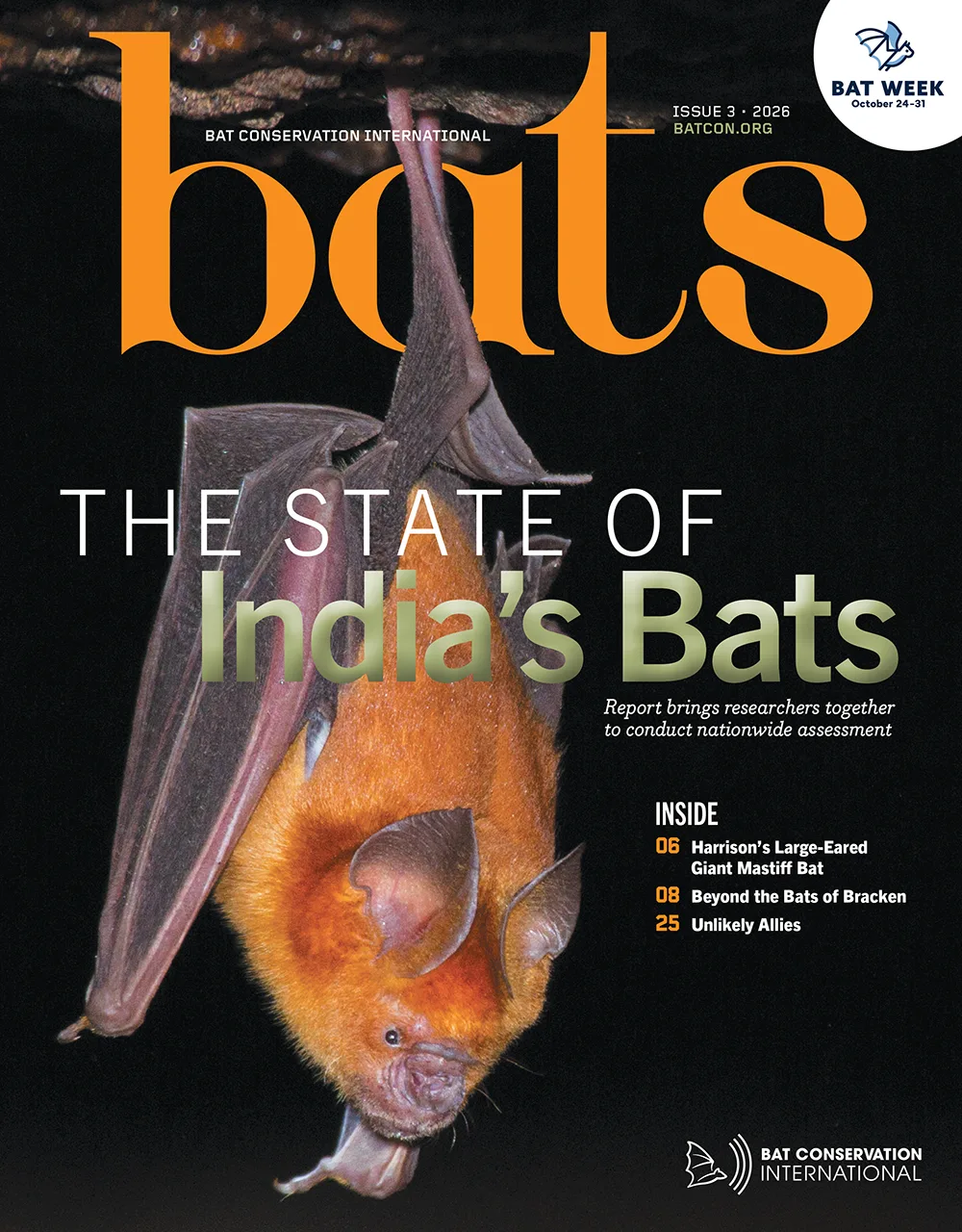 Bats Magazine Volume 45, Issue 3 cover